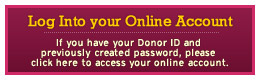 Log Into Your Online Account