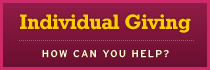 Individual Giving