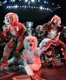 CATS